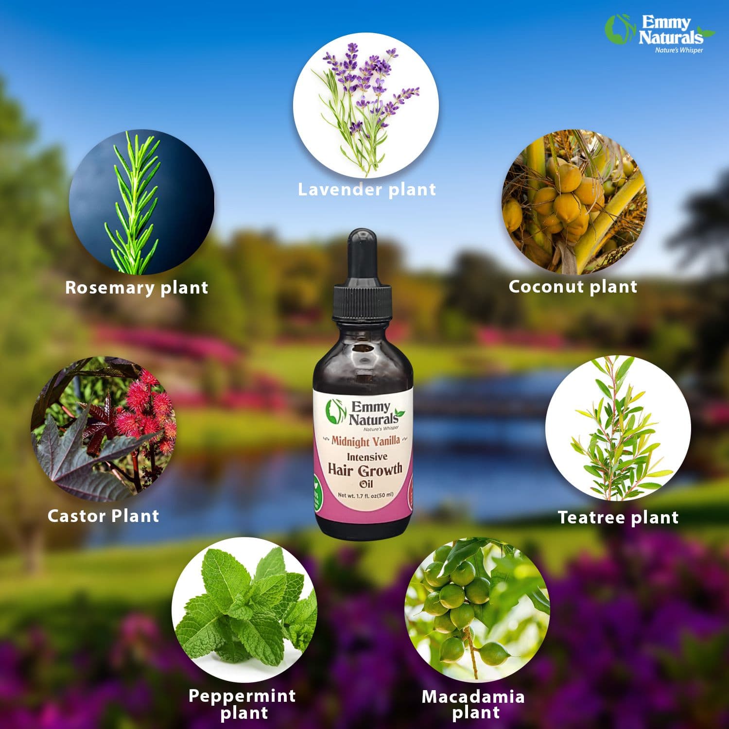 Midnight Vanilla Intensive Hair Growth Oil